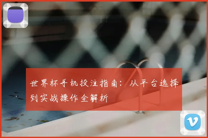 世界杯手机投注指南：从平台选择到实战操作全解析