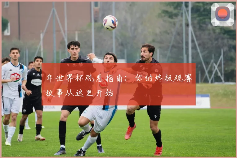 年世界杯观看指南:你的终极观赛故事从这里开始