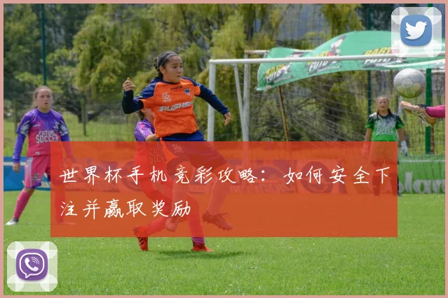 世界杯手机竞彩攻略：如何安全下注并赢取奖励