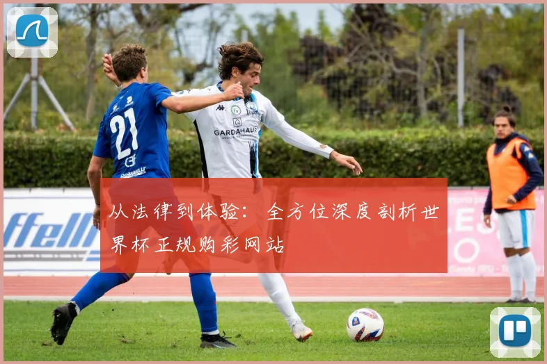 从法律到体验：全方位深度剖析世界杯正规购彩网站